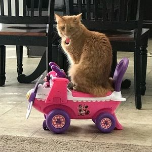 Meet your Posher, Renee